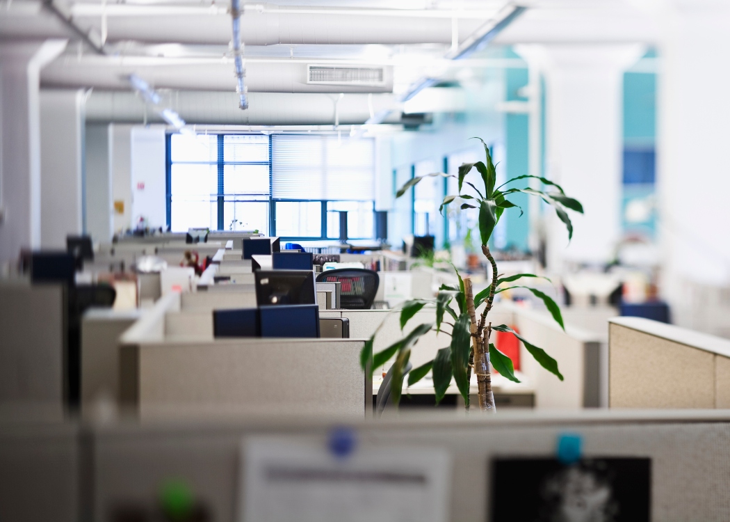 Cubicle farm office