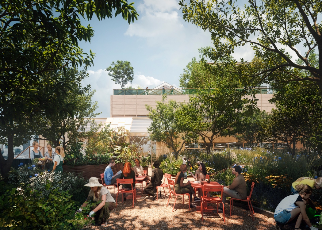 Outdoor gardens at roots in the sky