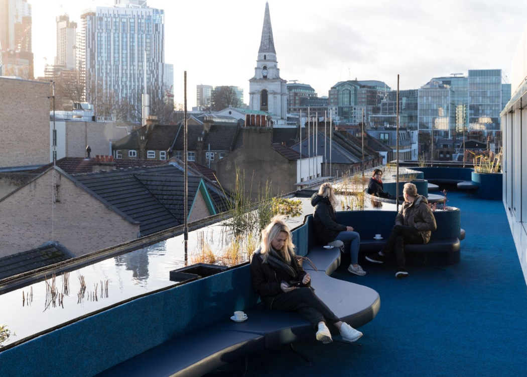 Biophilic office design case study: Second Home