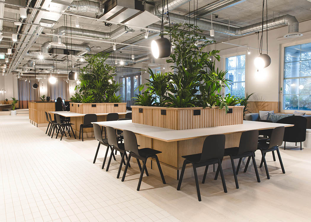 TOG's 84 eccleston square